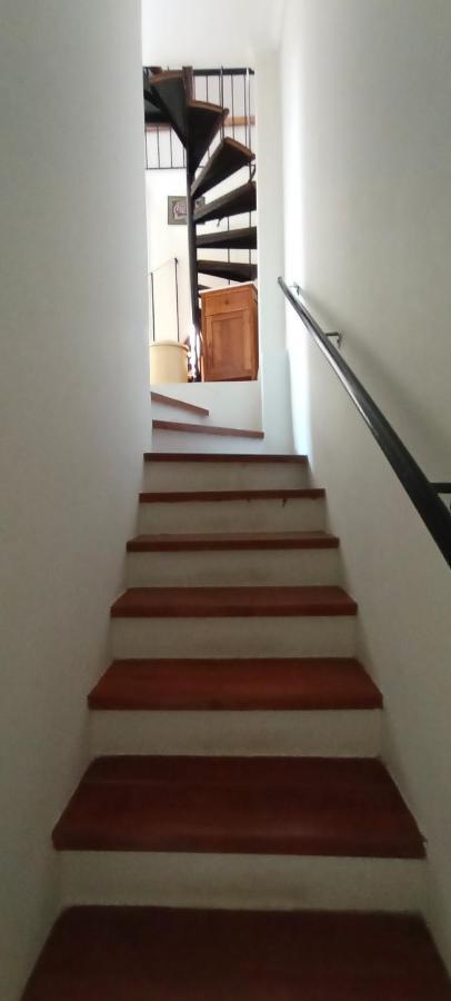 High Aesthetics Maisonette In The Wood By The Sea ميتامورفوسي المظهر الخارجي الصورة