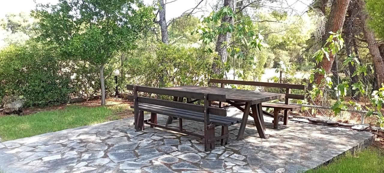 High Aesthetics Maisonette In The Wood By The Sea ميتامورفوسي المظهر الخارجي الصورة